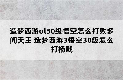 造梦西游ol30级悟空怎么打败多闻天王 造梦西游3悟空30级怎么打杨戬